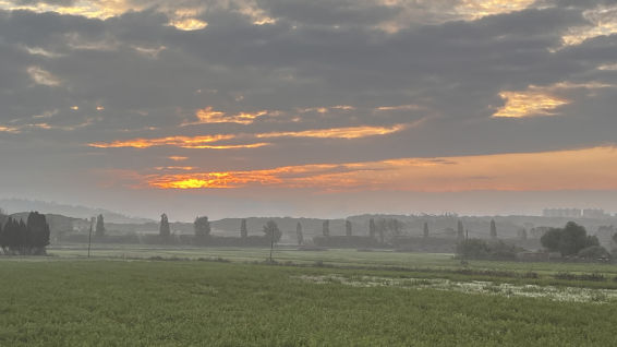 Otoño con el efecto de la niebla empordanesa