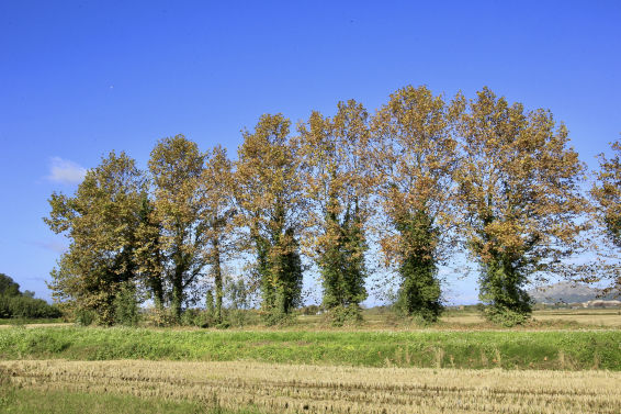 Paisaje en calma tras la tormenta en el Empordà