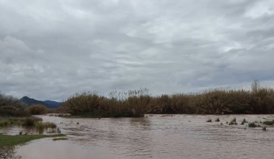 Buena crecida del río Besòs