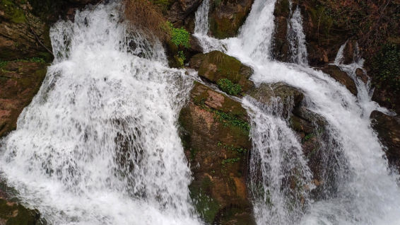 El gran manantial del río Llobregat
