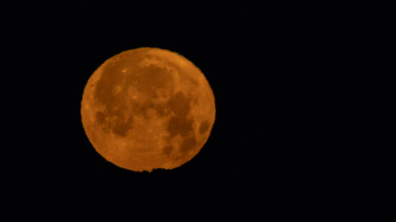 Las secuencias de la puesta de la luna de fresa