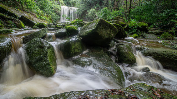 Así suena el agua que va al pantano de Sau