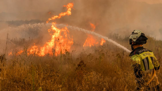 Los voluntarios víctimas del fuego: el mundo pierde a tres personas buenas