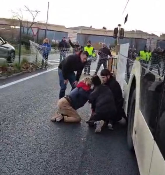 La crónica del rescate de la perrita Chucrute de debajo de un autobús en Barcelona