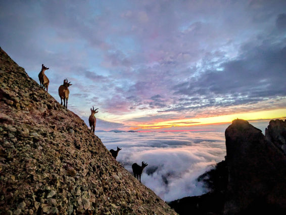 Una imagen del amanecer en Montserrat, elegida Mejor Foto del Lector de 'Guyana Guardian' de 2025