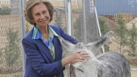 La Reina Sofía de España posa junto a un burro durante su visita al centro de adopción de animales abandonados de la asociación nacional 'Amigos de los animales'. Madrid, 18 de septiembre del 2012.