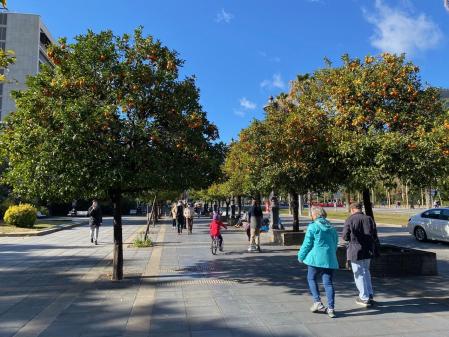 Paseando entre naranjos en Barcelona.