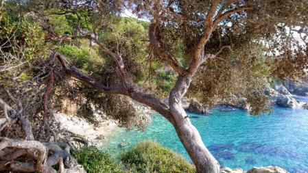 Calas del camino de ronda de Lloret.