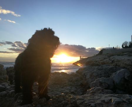 Mar posa junto al amanecer de Sitges.