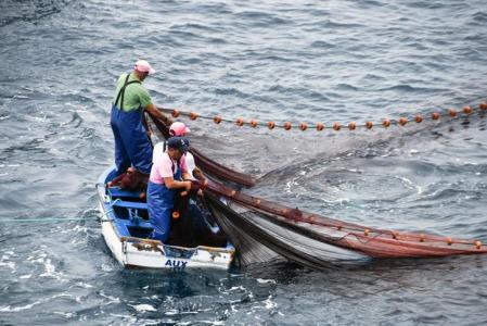 Pescadores locales tirando de su red en la costa portuguesa