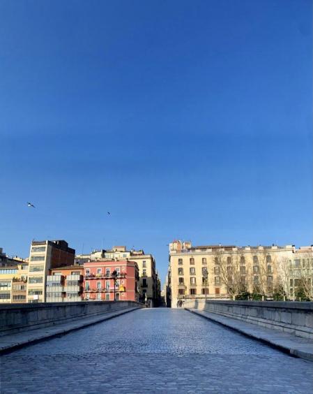 Vistas del Pont de Pedra de Girona.