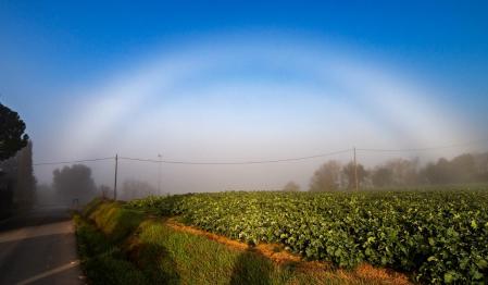 Arco de niebla cerca de la masía La Salada.