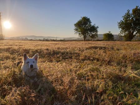Panorámica del Penedès junto a Sheldon.