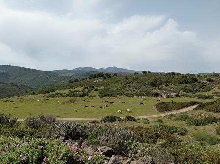 Panorámica del Parc Natural de Parc de Creus.