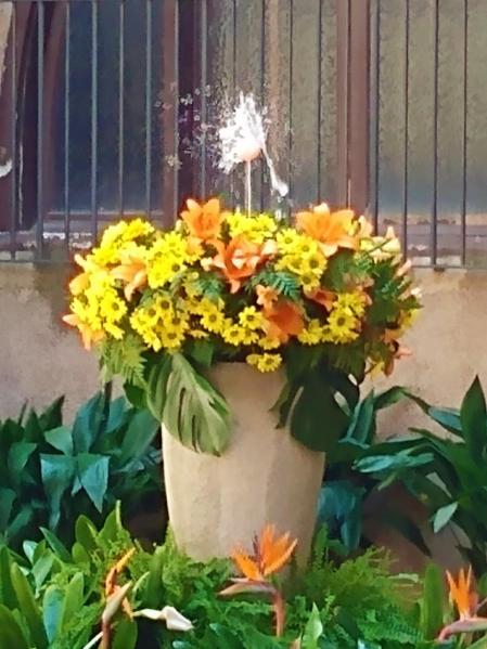 L'Ou com Balla en Sabadell.