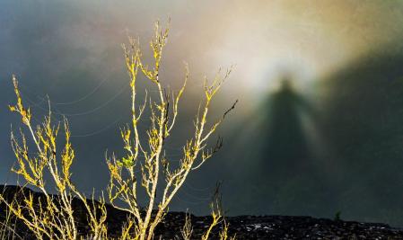 El espectro de Brocken en medio de la humedad con niebla.