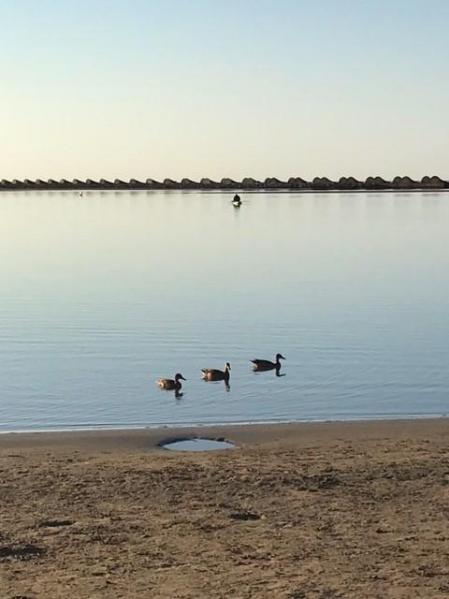 Paisaje del amanecer en la Laguna de Cubelles.