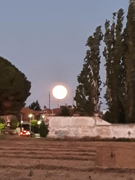 Atardecer en la Rivera del Duero.