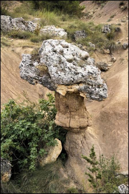 Paisaje de la piedra con forma de seta.