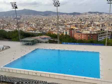 Gaviotas en las piscinas de Montjuïc.
