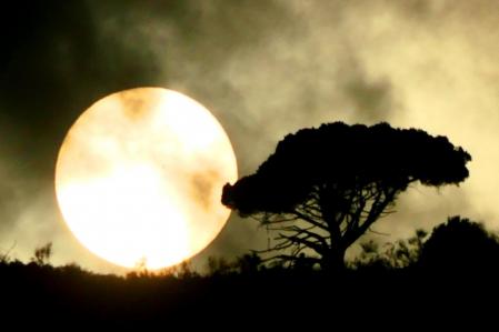 Sol blanco en la montaña de Sant Pere Màrtir visto desde Barcelona.