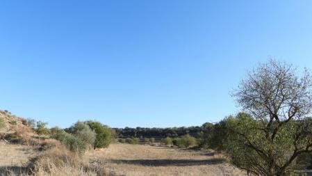Reto visual: ¿Puedes ver dónde está la luna?