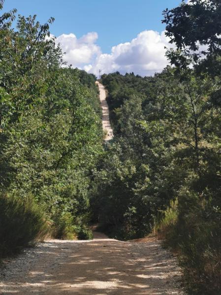 villafranca de los Montes de Oca
