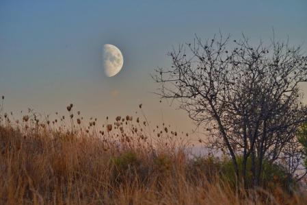 Luna creciente en Mijas.