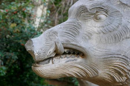 Jabalíes de los jardines Jaume Vicens i Vives