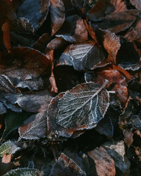 La magia del invierno en Collsuspina.