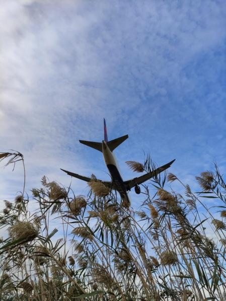 Paseos entre aviones.