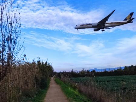 Paseos entre aviones.