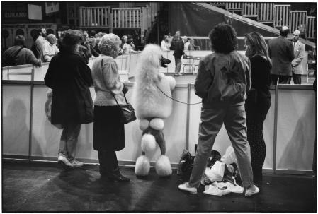 Inglaterra. Birmingham, 1991, una de las imágenes más conocidas del fotógrafo Elliot Erwitt