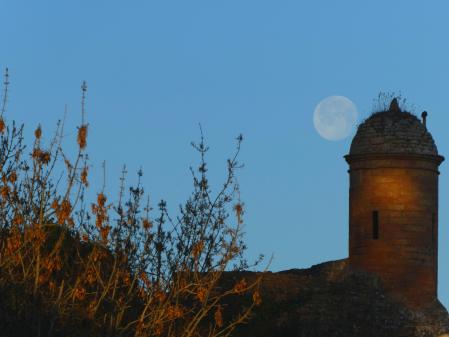 El castillo de Cardona