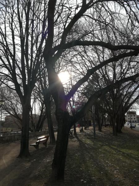 al Passeig del Ter de Manlleu