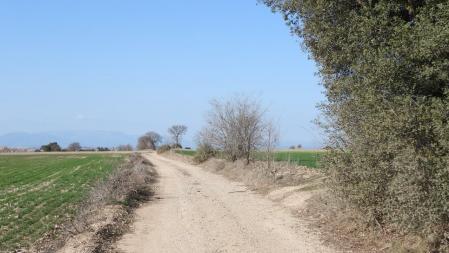 Reto visual: ¿Dónde está el pájaro?