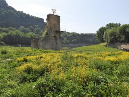 Còdol Dret rodeado de vegetación. Josep Soldevila