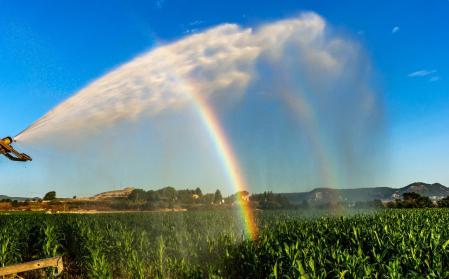 Doble arcoíris en el campo de maíz en Vic.