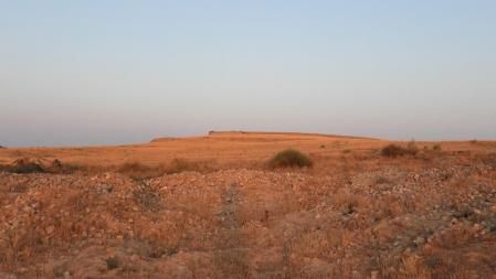 Reto visual: ¿Eres capaz de ver dónde está el zorro?