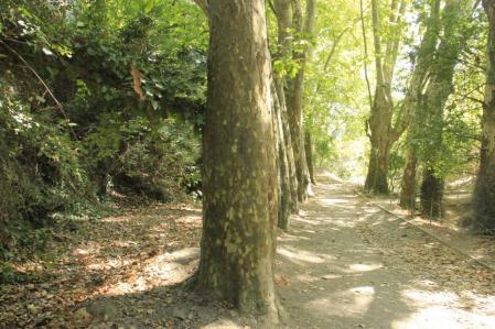 Paisaje otoñal en las inmediaciones del pantano de Vallvidrera.
