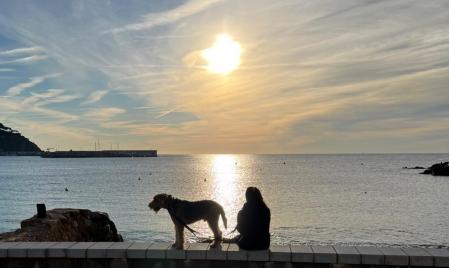 Reflexionando en la bahía de Blanes en compañía del perro.