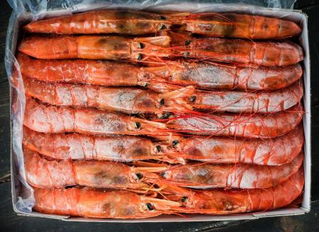 Langostinos en una caja