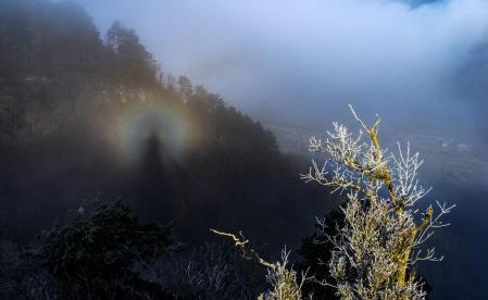 Niebla escarchada con espectro de Brocken.
