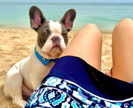 Un perro con su 'familiar', en la playa.