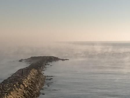 Humo ártico en el mar en Sant Martí d'Empúries.