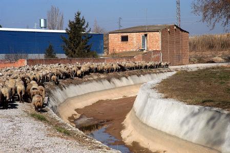 FOTO: MERCÈ GILI. CANAL DE URGELL TOTALMENTE SECO