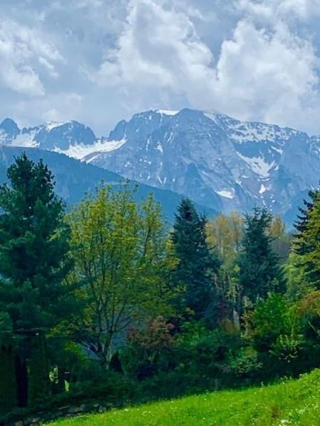 Vista del Port de Vielha.