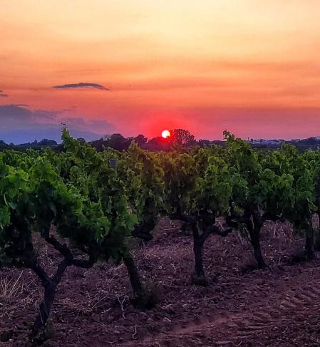 Puesta de sol de interior en Roses.