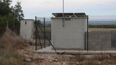 Reto visual: ¿Cuántos animales puedes ver en esta imagen menos de 30 segundos?