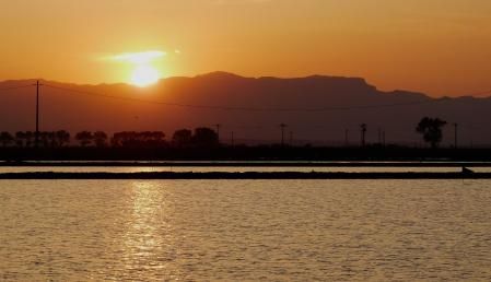 Columna solar al atardecer en el Delta del Ebro.